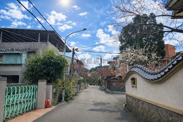 95坪大地坪獨棟豪宅|大面寬|前庭後院|知名社區｜桃園市龍潭區龍人社區