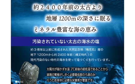 深海の恵み 関門の塩 合計1000g (100g×10袋) ミネラル 塩 調味料 塩分濃度86.1％ カルシウム マグネシウム カリウム しお 少量 小分け