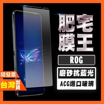 ASUS ROG Phone 9 8 Pro 8 7 6D Ultimate 6 5S 抗藍光 磨砂 保護貼 肥宅膜王