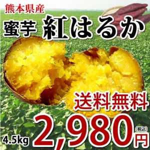 さつまいも 紅はるか 送料無料 4.5kg 熊本県産 サツマイモ 紅蜜芋 芋 いも