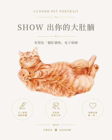 客製化翻肚貓咪插畫 | 寫實派電子繪圖 | 寵物肖像