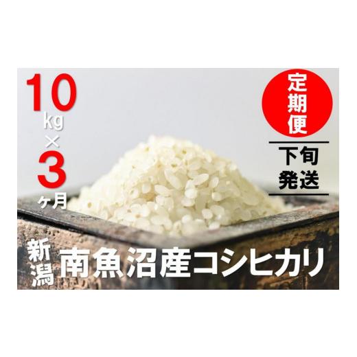 ふるさと納税 新潟県 南魚沼市 10kg×3ヶ月　南魚沼産コシヒカリ　うちやま農園米