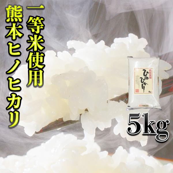 お米 米 5kg 白米 一等米使用 熊本県産 ひのひかり あすつく 新米 令和5年産 ヒノヒカリ 5kg1個 くまもとのお米 富田商店 とみた商店