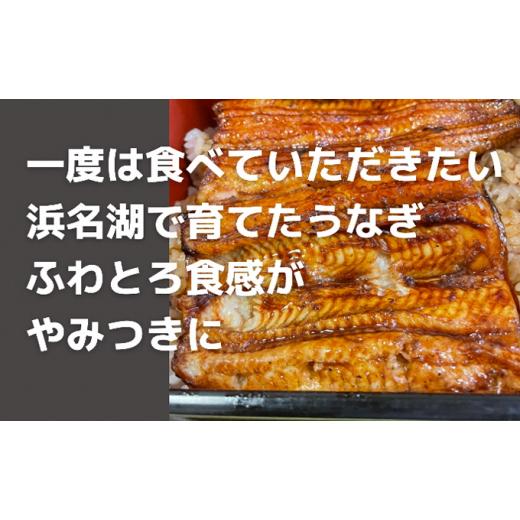 ふるさと納税 静岡県 湖西市 うなぎ蒲焼き（真空パック）×6本　タレ・山椒・お吸い物付