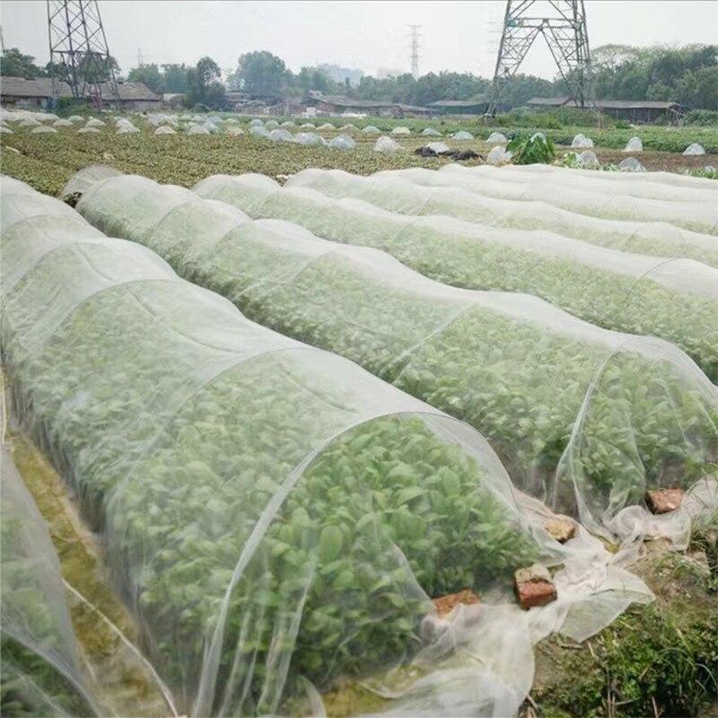 庭の野菜の昆虫ネットカバー植物フラワーケア保護ネットワーク鳥の昆虫害虫防止メッシュ長さ6 10m