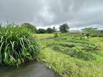正中央路★方正農地★打造專屬觀光農場｜花蓮縣吉安鄉南華段