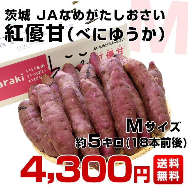 茨城県より産地直送 JAなめがたしおさい さつまいも「紅優甘 (べにゆうか)」 Mサイズ 5キロ(18本前後) 送料無料 さつま芋 サツマイモ 薩摩芋