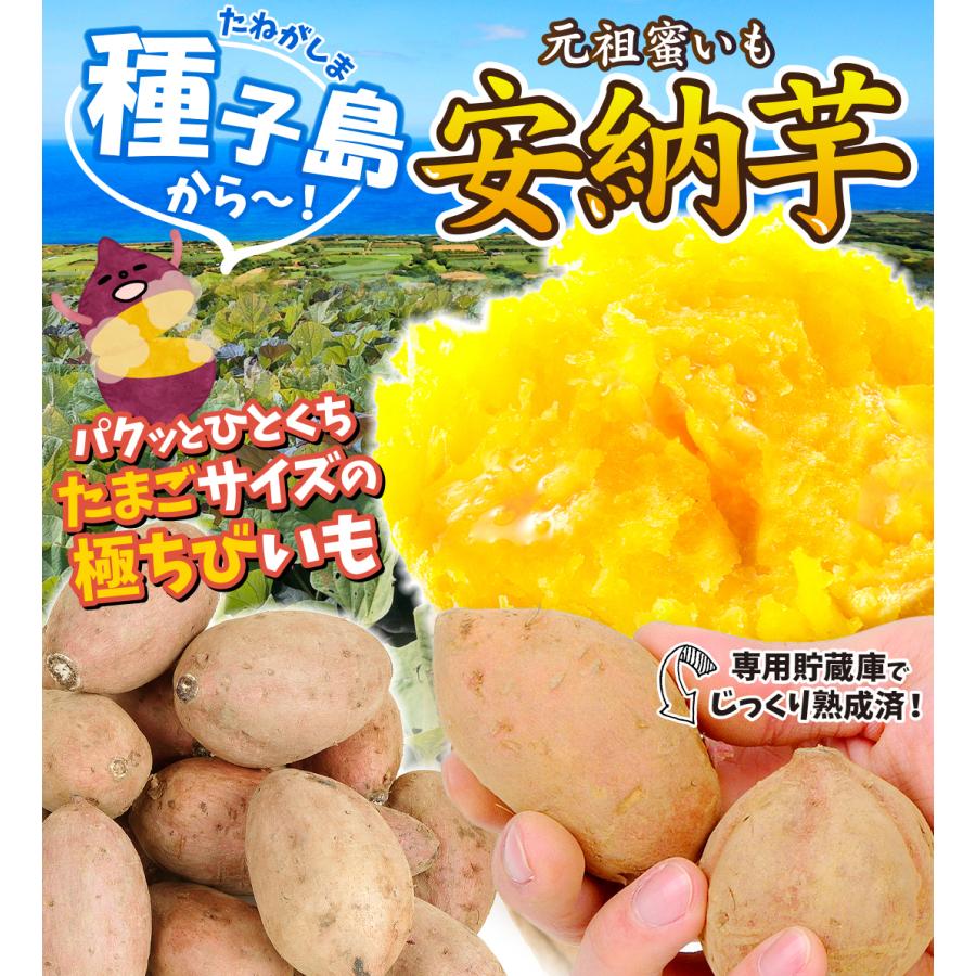 さつまいも 5kg 安納芋・極ちび 種子島産 ご家庭用 送料無料 食品