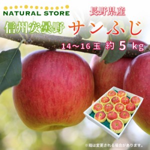 [予約 2023年11月1日-11月30日の納品] サンふじ 14-16玉 大玉 約 5kg りんご 長野県産 安曇野 冬ギフト お歳暮 御歳暮