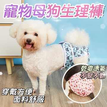 寵物生理褲 狗狗生理褲 母狗生理褲 狗生理褲 狗狗月經褲  寵物尿布 母狗月經 狗尿褲 狗尿布 狗狗用品 母狗 生理褲