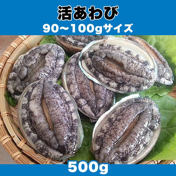 生きているから肝までお刺身品質 活あわび 90〜100gサイズ 500g