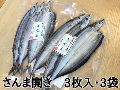 熊野の老舗干物屋　畑辰商店×3袋