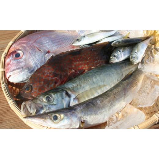 ふるさと納税 香川県 小豆島町 小豆島産　鮮魚詰合せ約3kg