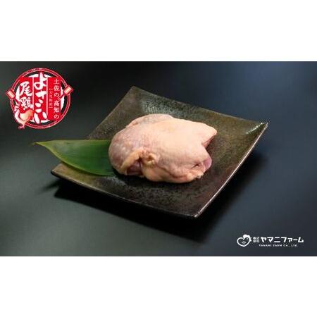 ふるさと納税 よさこい尾鶏 もも・むね肉セット 高知県大月町