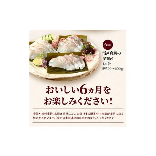 ふるさと納税 宮崎県 延岡市 延岡産活〆鮮魚の豪華お刺身 （6ヶ月定期便）N019-ZF044　請関水産