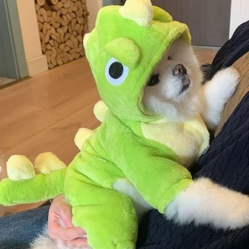 💥臺灣有貨🌈免運!💥新款小恐龍變身小狗狗衣服法蘭絨保暖小型犬貓咪衣服狗狗秋季衣服清倉