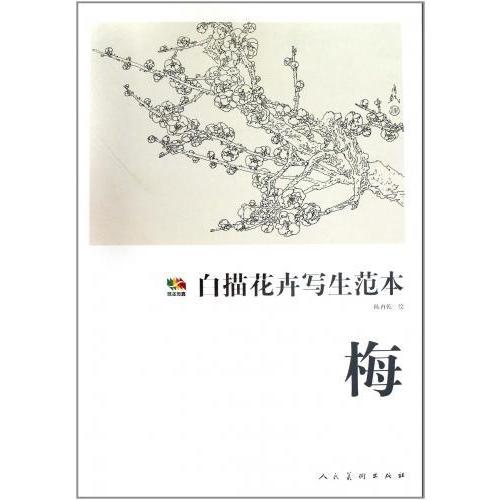 梅　白描花卉スケッチ範本　中国画学習　脳活き活き　大人の塗り絵　 白描花卉写生范本-梅