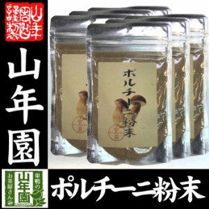  ポルチーニ茸の粉末 40g×6袋セット 無農薬で栽培されたポルチーニ茸を温風乾燥させて粉末に 健康 送料無