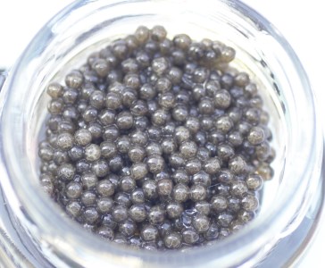 日向キャビア(Hyuga Caviar) 10g(冷凍・フレッシュキャビア) [宮崎キャビア 宮崎県 日向市 452060322]