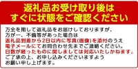 akune-4-43 ＜訳あり＞鹿児島県産手選果みかん(計10kg)国産 柑橘 果物 フルーツ ご家庭用 サイズ 不揃い4-43