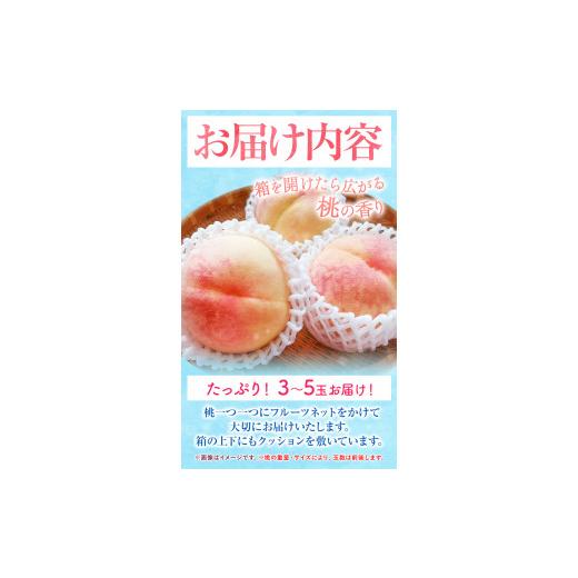 ふるさと納税 岡山県 浅口市 岡山の桃 もも 1kg 3~5玉前後 岡山県産 ご家庭用《2024年6月下旬-9月上旬頃より発送予定》岡山県 浅口市 厳選出荷 白…