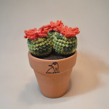 多肉植物 月世界-手作編織植物(有分2顆or3顆)