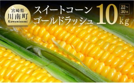  宮崎県産 とうもろこし 井上農園産 スイートコーン ゴールドラッシュ 9.0kg 