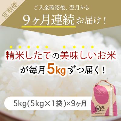 ふるさと納税 五所川原市  米 5kg つがるロマン 青森県産  定期便9回 5kg×9回