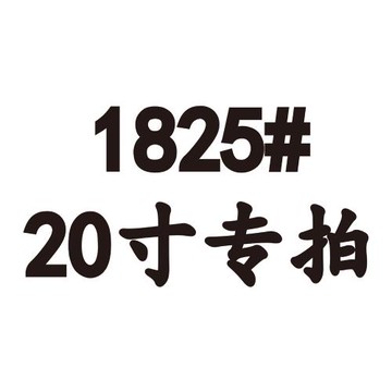 DY 1825款拉桿箱-20寸