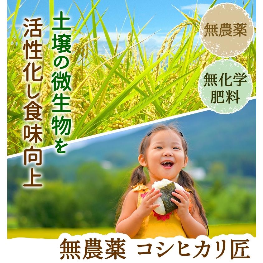 無農薬 玄米 米 2kg 無農薬 コシヒカリ 匠 令和5年福井県産 新米入荷 送料無料 無農薬・無化学肥料栽培