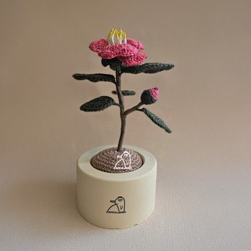 10-3月開花の花-茶花-手作編織植物