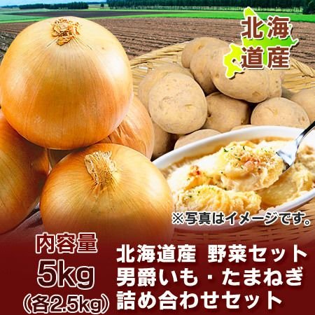 じゃがいも 男爵いも 送料無料 玉ねぎ 野菜セット 北海道産 男爵いも たまねぎ 5kg (各2.5kg) Lサイズ 野菜 セット 野菜詰め合わせ