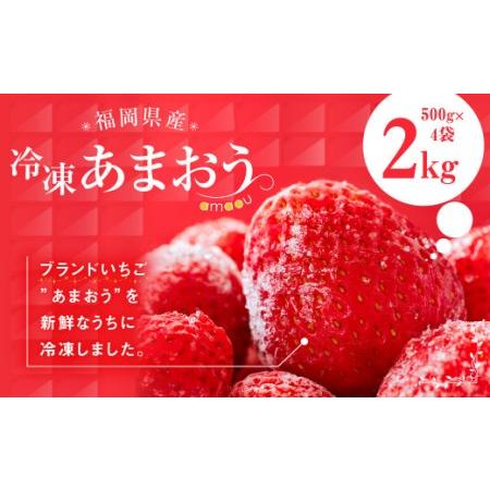 ふるさと納税 福岡県産 冷凍 あまおう 合計2kg (500g×4袋) いちご 苺 フルーツ 福岡県嘉麻市