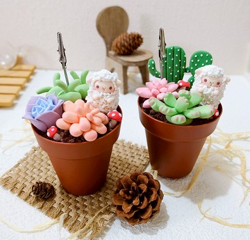 捲捲羊多肉盆栽收納盒 黏土材料包 線上教學影片&DIY 材料