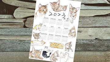 2023小島貓年曆