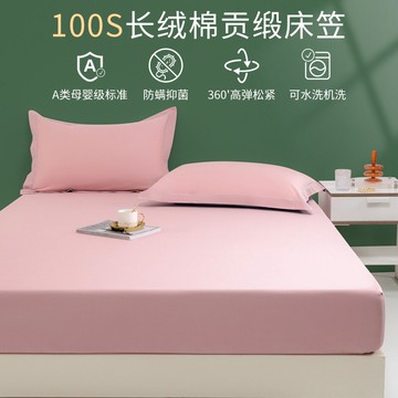 床笠單件長絨棉加厚全包床單床墊保護套2022新款家用全棉純棉床罩