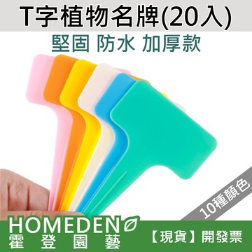 【隔日到貨】T字植物名牌 20入 多肉植物名牌 植物名牌 花牌 標籤 【HOMEDEN霍登園藝】