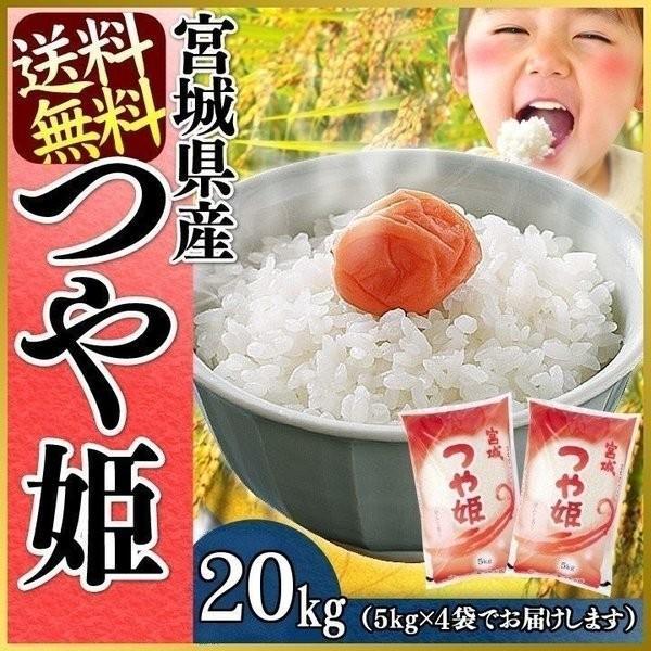 つや姫 20kg お米 20kg 米 送料無料 白米 安い 5kg×4袋 一等米 宮城県産 うるち米 精白米 おいしい つやひめ こめ 令和5年産