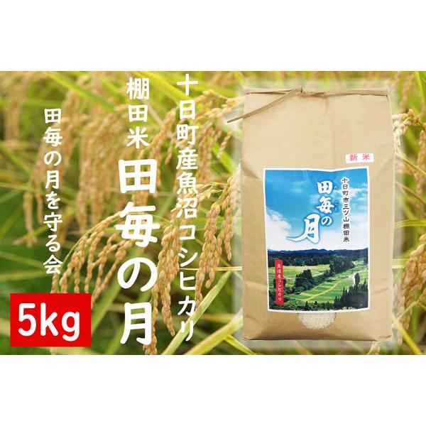 魚沼産コシヒカリ 令和5年産　棚田米　田毎の月　5kg