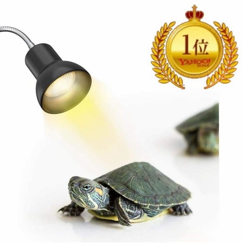 ♡COOSPIDER爬虫類 ヒーター 爬虫類 ライト 爬虫類用保温ランプ 赤外線