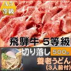 飛騨牛 5等級　切り落し　500g　養老うどん付(3人前)