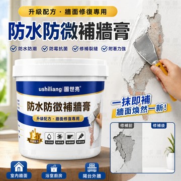 隔日到貨 補牆膏 防水防黴 牆面修補膏 修繕 壁癌 補土膏 牆壁修補膏 裂縫修補 防水補牆膏 牆壁裂縫填補劑 白色膩子膏