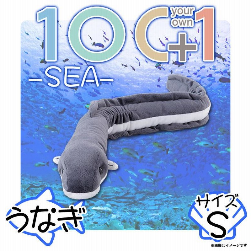 81V+jvavr-L._AC_UF894,