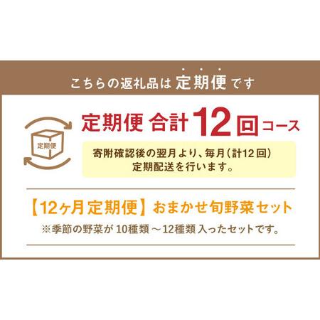 ふるさと納税  おまかせ旬野菜セット 旬 野菜 セット 北海道 北広島市 北海道北広島市