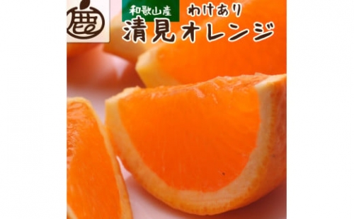 ＜2月より発送＞家庭用 清見オレンジ2kg 60g（傷み補償分） ※北海道・沖縄・離島への配送不可