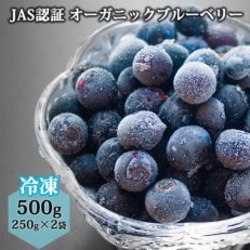 有機JAS認証オーガニックブルーベリー 500g