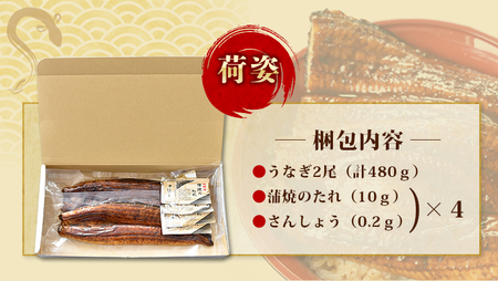 鰻 うなぎ 蒲焼 中国産   うなぎ蒲焼 2尾 計約480g （タレ・山椒付き）1尾で約240gのビッグサイズ 鰻 うなぎ うなぎの蒲焼 炭火焼き 炭火 中国産