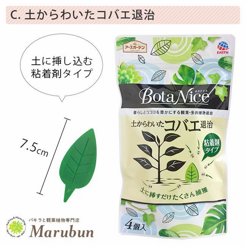 新発売 まとめ アース製薬 BotaNice土からわいたコバエ退治 粘着剤タイプ 1パック 4個