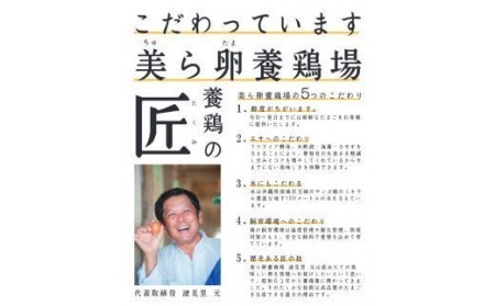 6ヵ月連続お届け　卵の黄身が掴めるほどの新鮮さ　美ら卵養鶏場の卵　各月80個