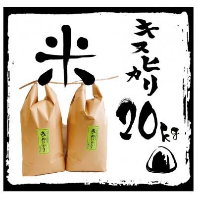 ふるさと納税 竜王町 令和5年産 特別栽培　近江米 『キヌヒカリ』20kg(5kg×4)